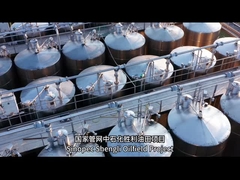 Başarılı konteyner projelerinin bazı örnekleri nelerdir?